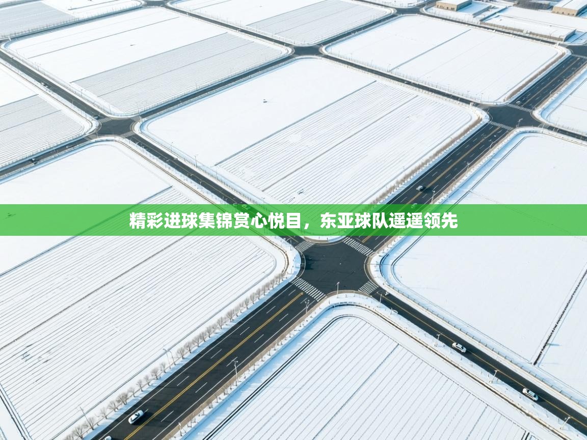 精彩进球集锦赏心悦目,东亚球队遥遥领先 第2张