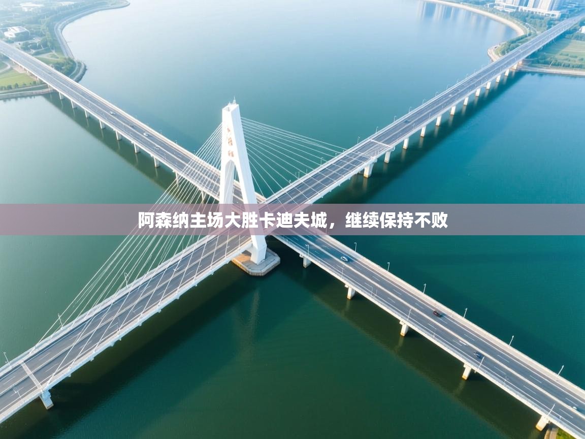 阿森纳主场大胜卡迪夫城,继续保持不败 第1张