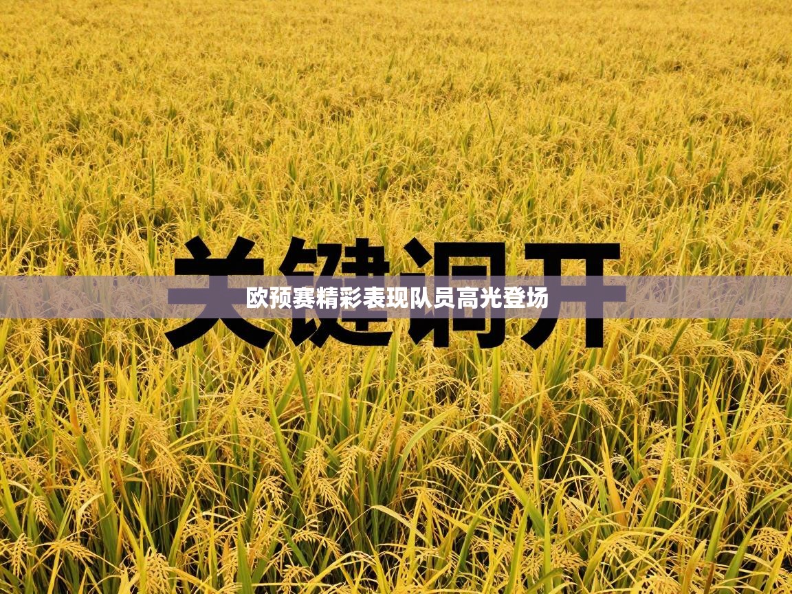 欧预赛精彩表现队员高光登场  第2张